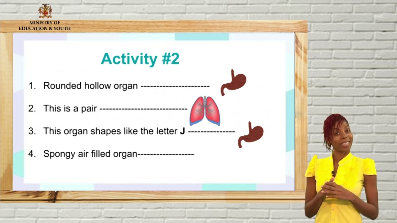 Integrated Studies The Lungs And Stomach