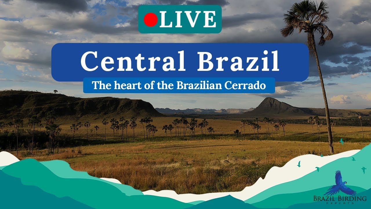 Central Brazil: the heart of the Brazilian Cerrado | BBE Lives #5