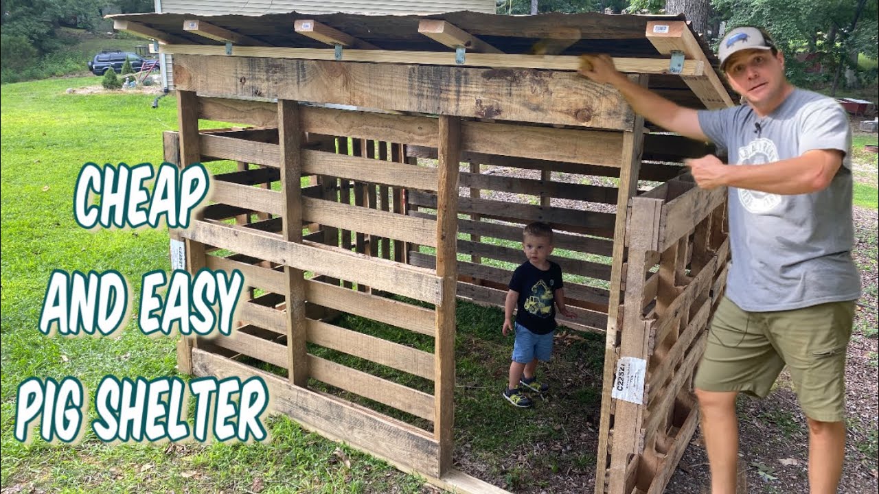 Our best pig shelter yet!