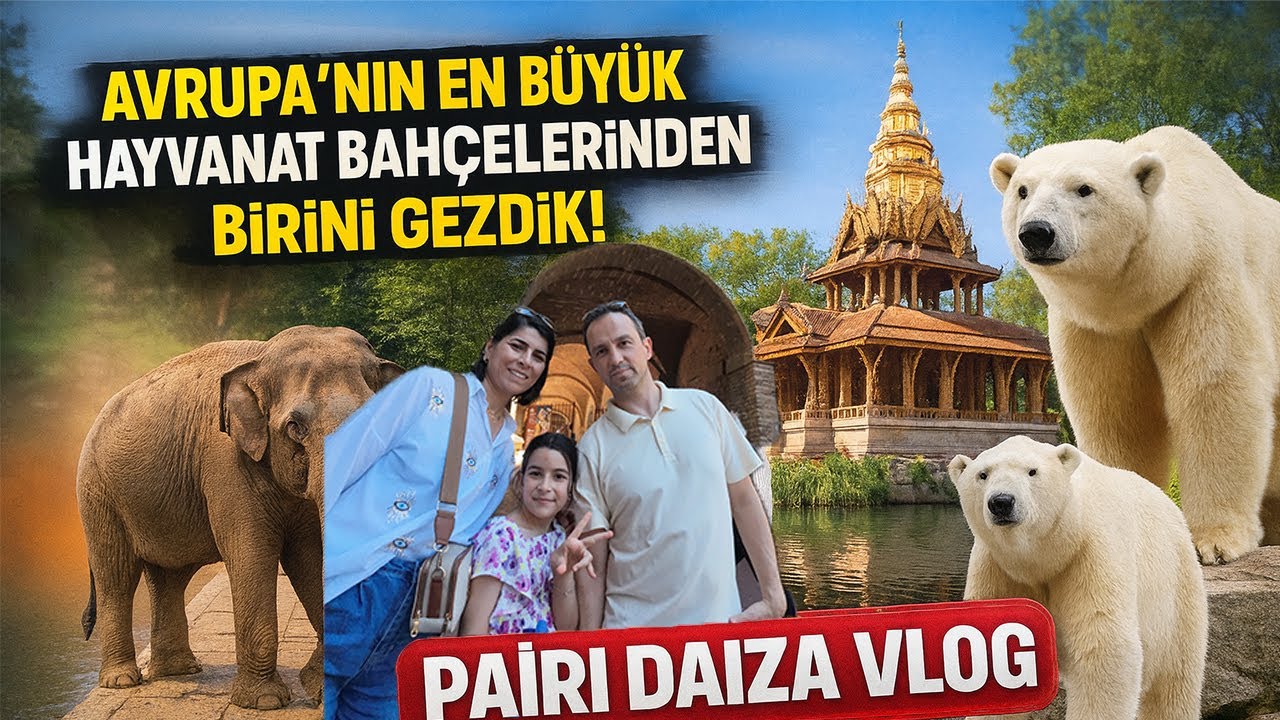 AVRUPANIN EN BUYUK HAYVANAT BAHCELERINDEN BIRINI GEZDIK - Pairi Daiza