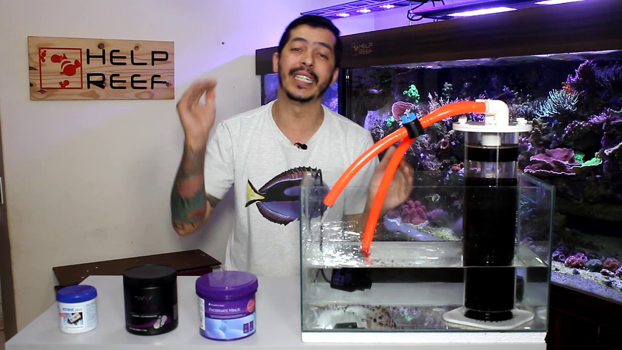 Você sabe o que é GFO ???