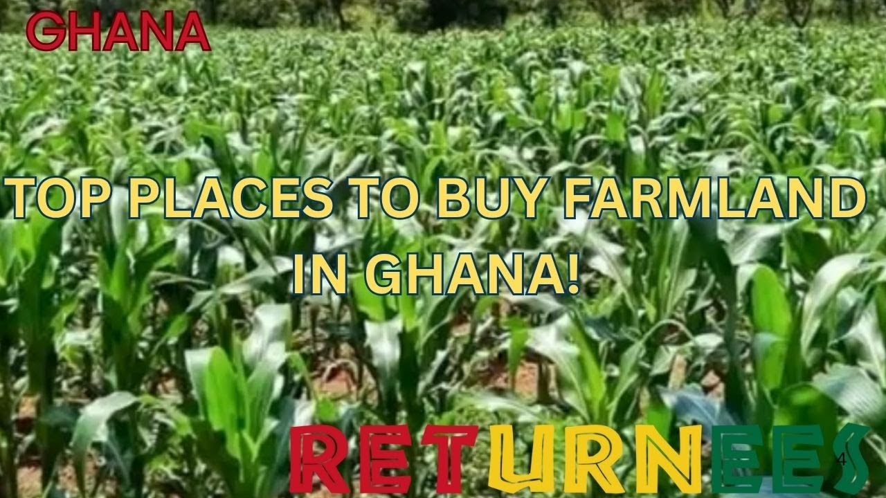 Top 10 Places to Buy Farmland in Ghana |GHANA