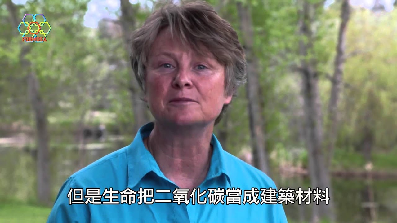 Biomimicry (仿生學)_Chinese subtitle (中文字幕版)