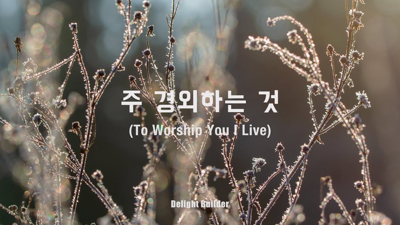 주 경외하는 것 | To Worship You I Live | 기도를 위한 찬양