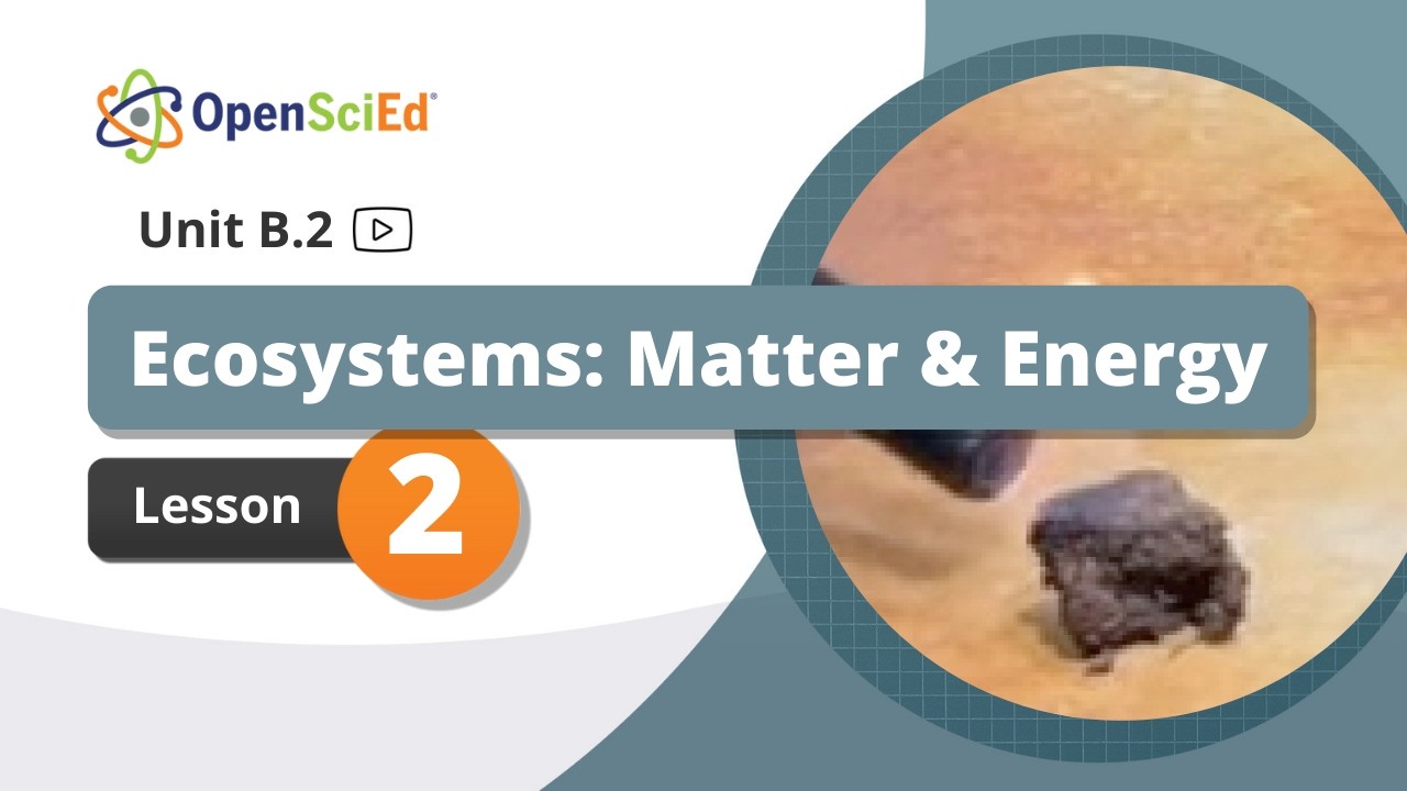 Unit B.2 Lesson 2 Planning Video | OpenSciEd On-Demand Resources
