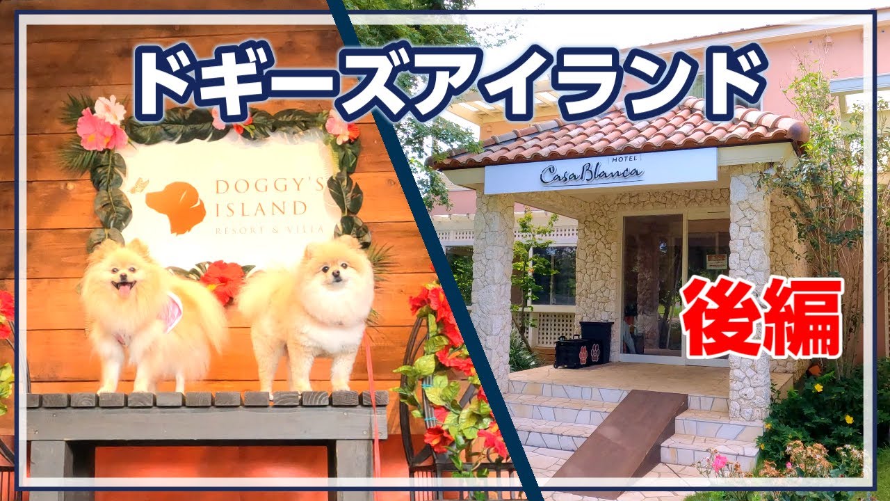 【後編】小谷流の里ドギーズアイランドに一泊してきました！