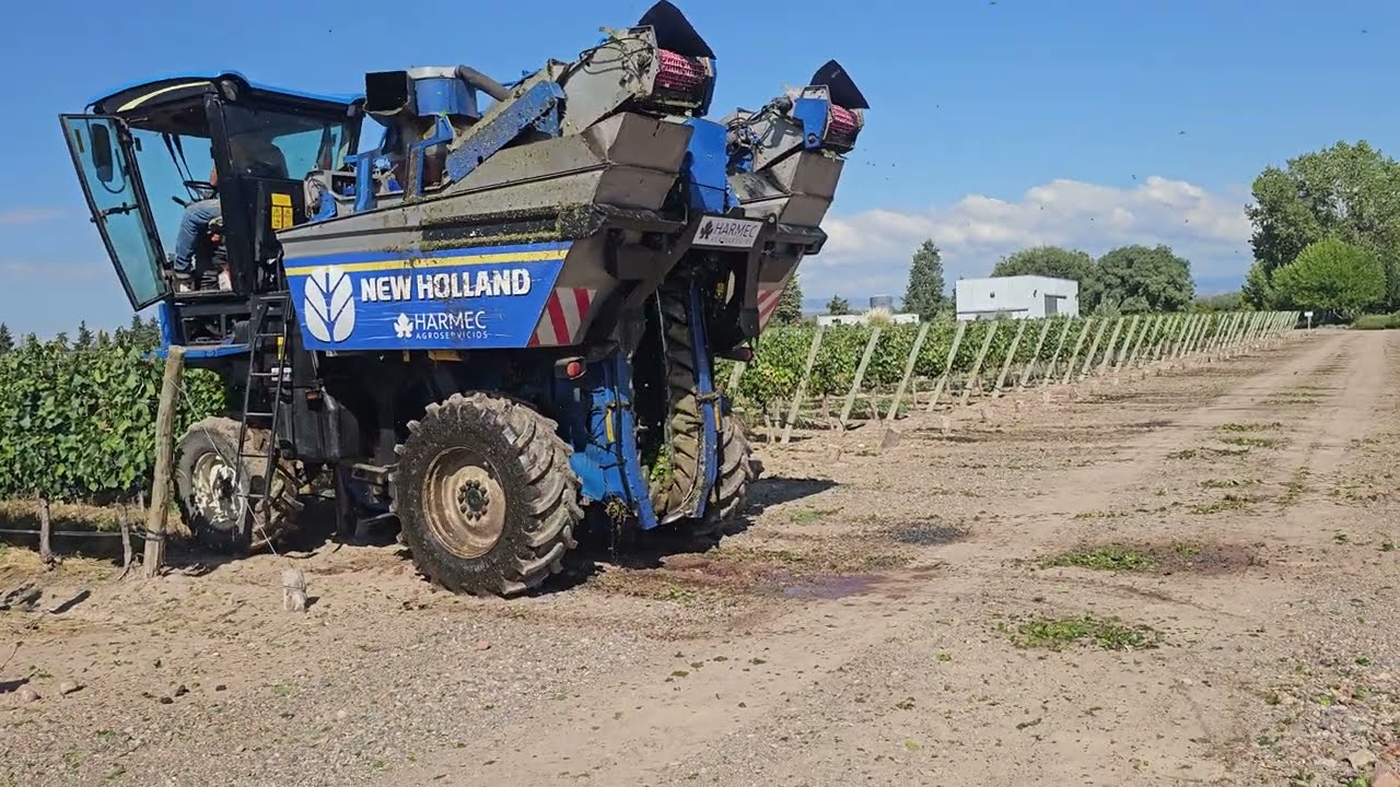 Cosechadora mecánica autopropulsada para viñedos