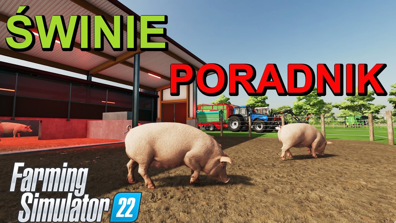 Świnie Poradnik Farming Simulator 22