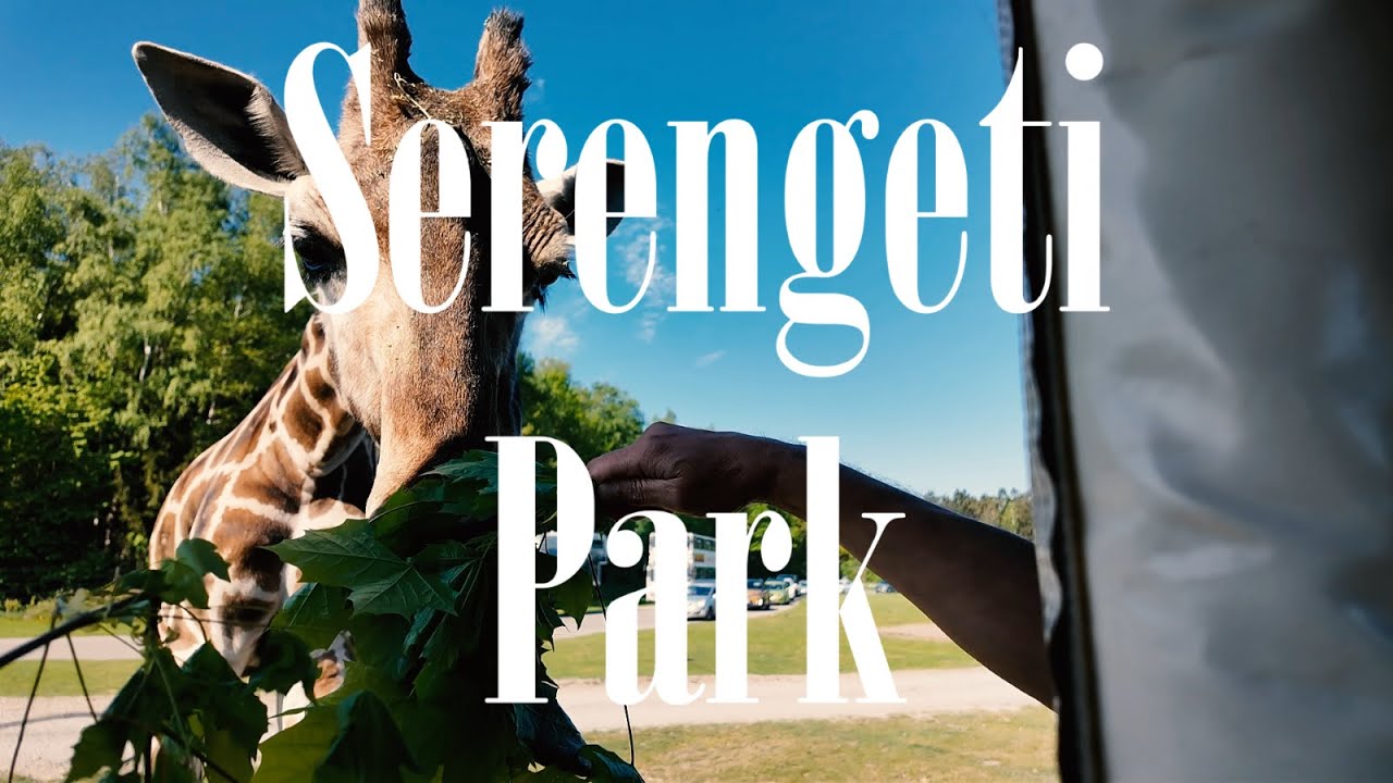 Vlog | Serengeti Park | Masai Mara Lodges + VIP Safari + Parkbesuch