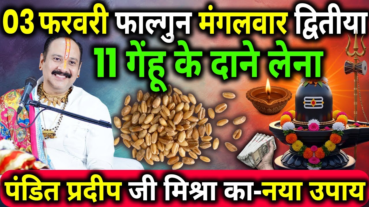 03 फरवरी फाल्गुन मंगलवार द्वितीया के दिन 11 गेंहू के दाने वाला उपाय जरुर करे || Pradeep Ji Mishra