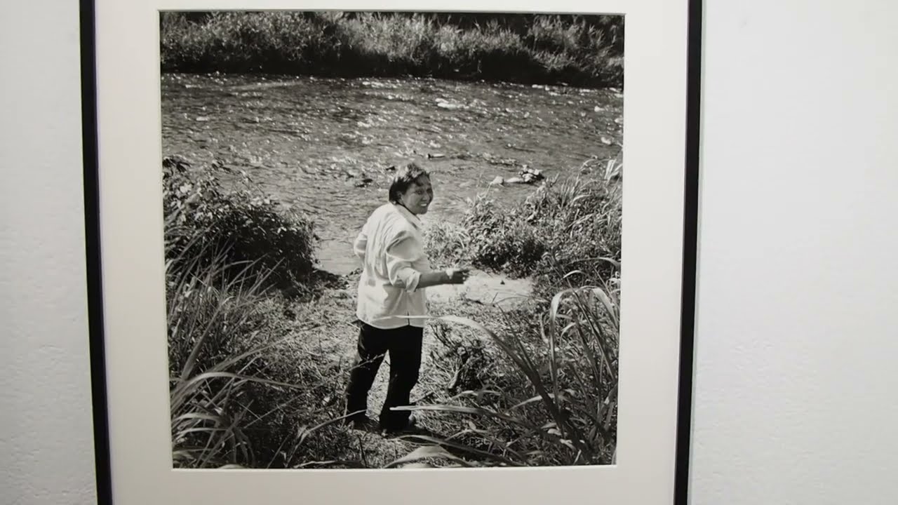 SP企画展 有元伸也 写真展 キ ジ バ ト/ Shinya Arimoto “Tokyo Turtle Dove 2”　2F