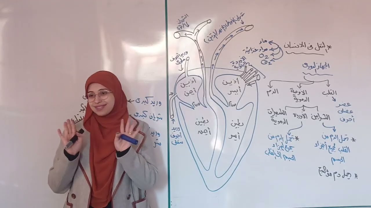 علوم متكاملة الترم الثاني 2026 || شرح النقل في الانسان كما لم تسمعه من قبل (الدرس الثاني Part1)