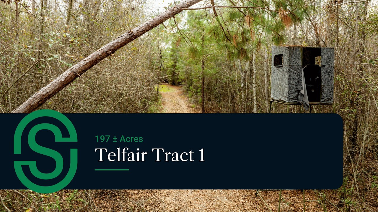 Telfair Tract 1 • 197 Acres with Horse Creek Frontage • Recreational Land in Telfair County, Georgia