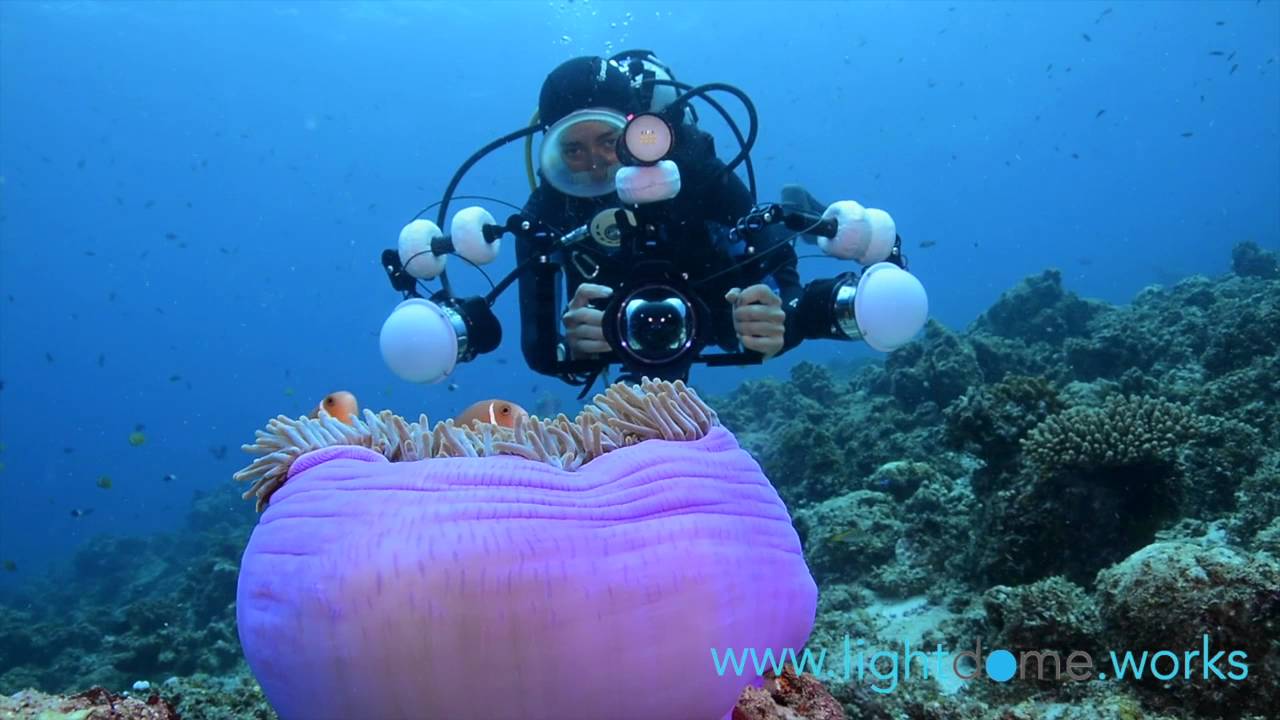 Light Dome Diffusers