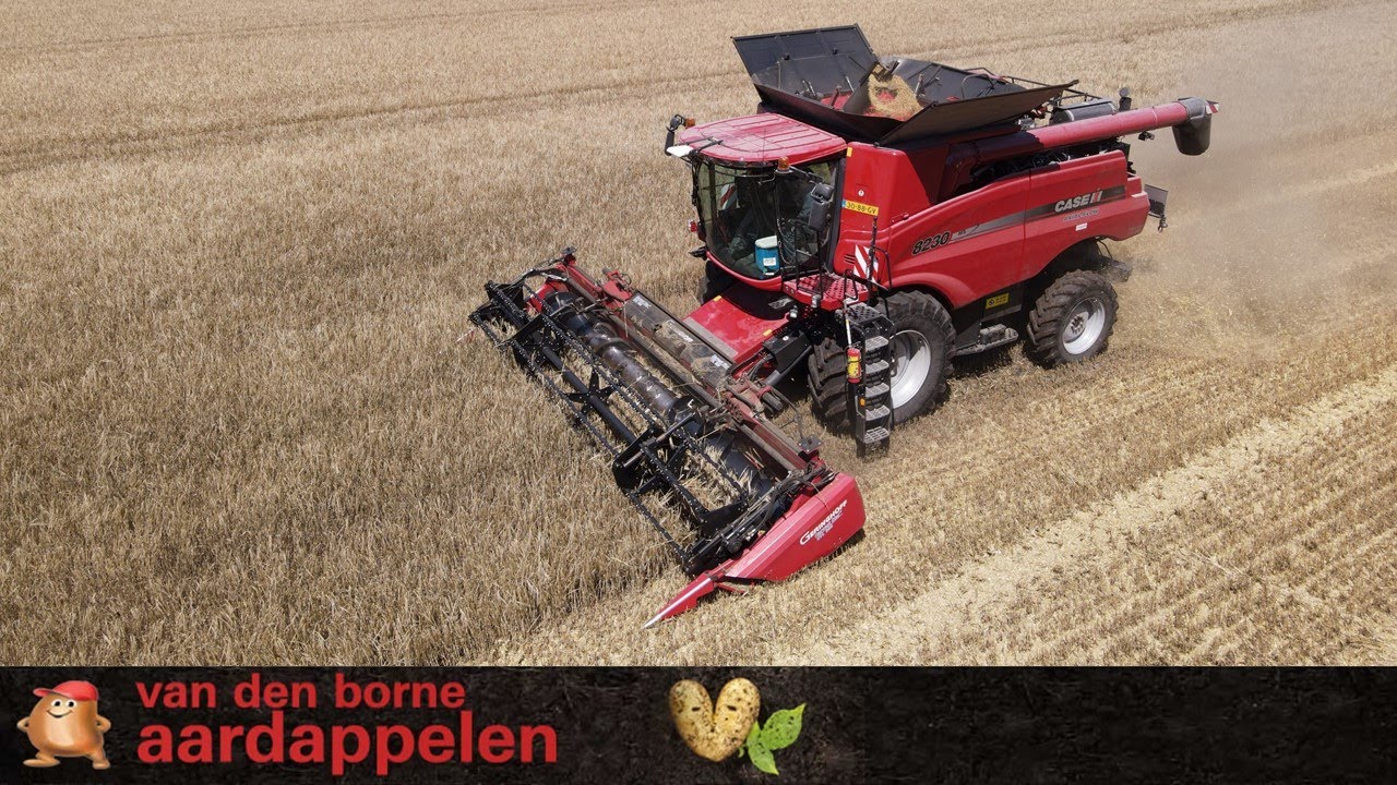 Combining Durum Wheat with Case 8230 Axial flow