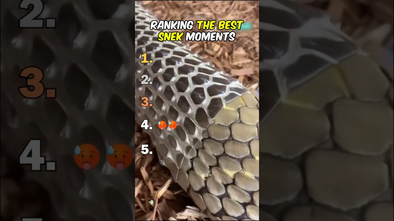 Ranking Best Snake Moments