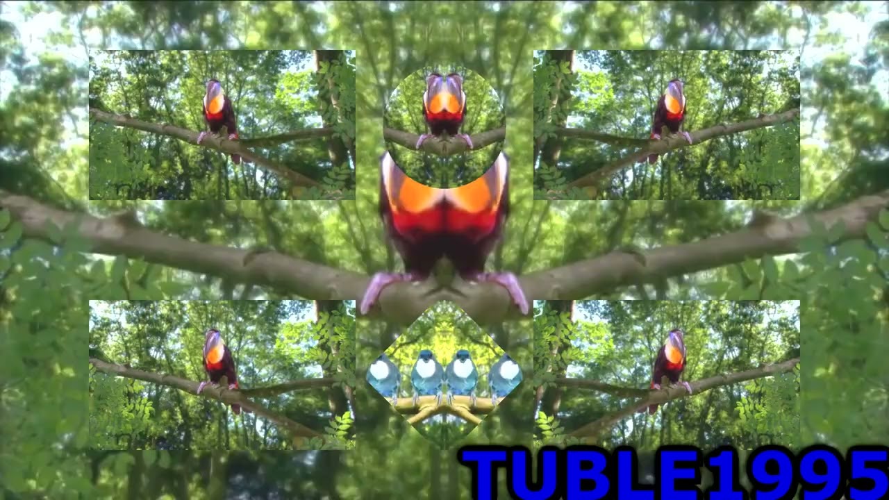 Preview 2 in the night garden V2 [Enhanced with Random Effects]