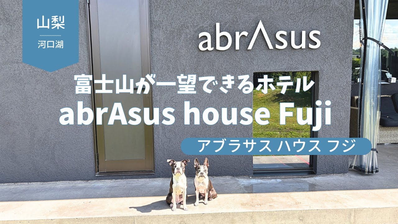 🐶🆗【河口湖】富士山が一望できるabrAsus house Fuji  アブラサスハウスフジ／ボストンテリア Boston terrier
