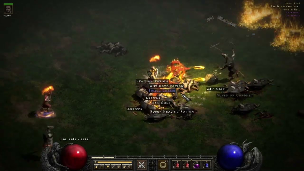 Fire paladin aka Firedin most OP build you can have in d2r