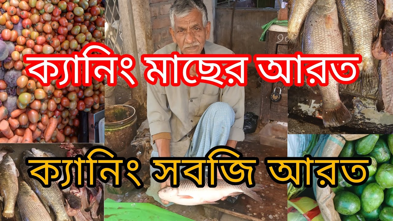 ক্যানিং মাছের বাজার এবং সবজির বাজার| Canning fish market and vegetable market.