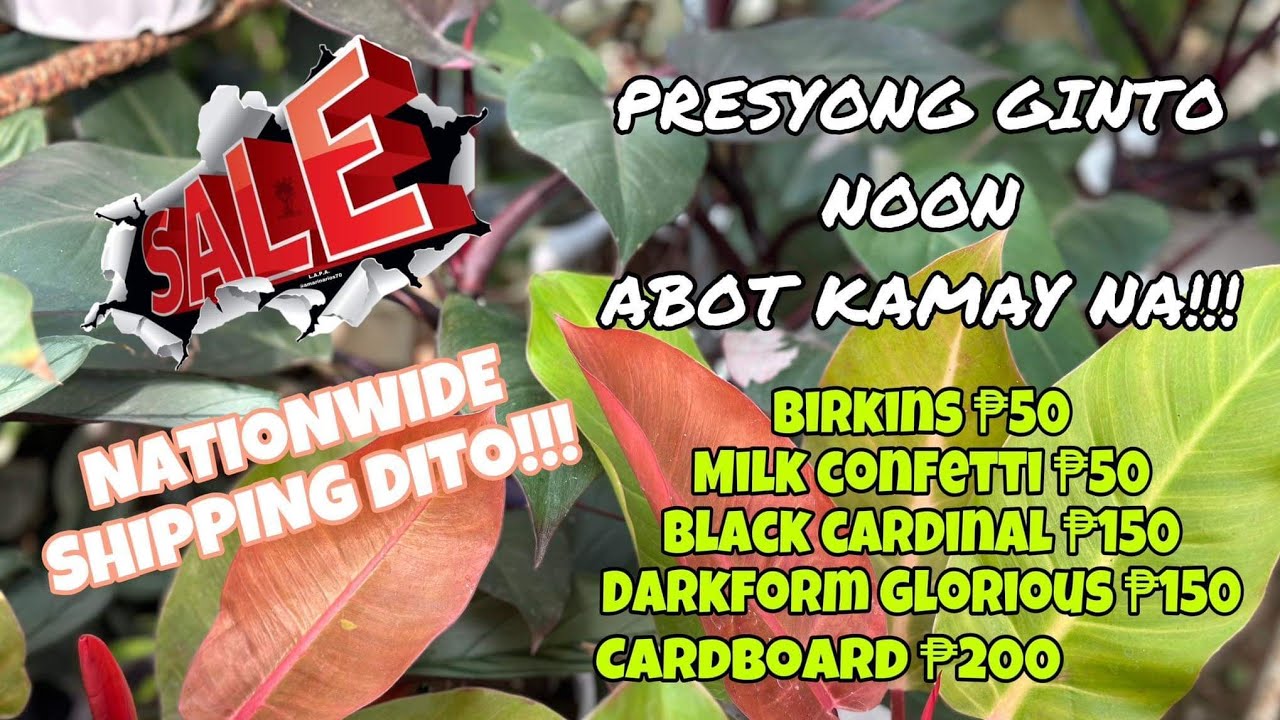 MAS PINABONGGA BUDGET PHILOS NANDITO NA!!!