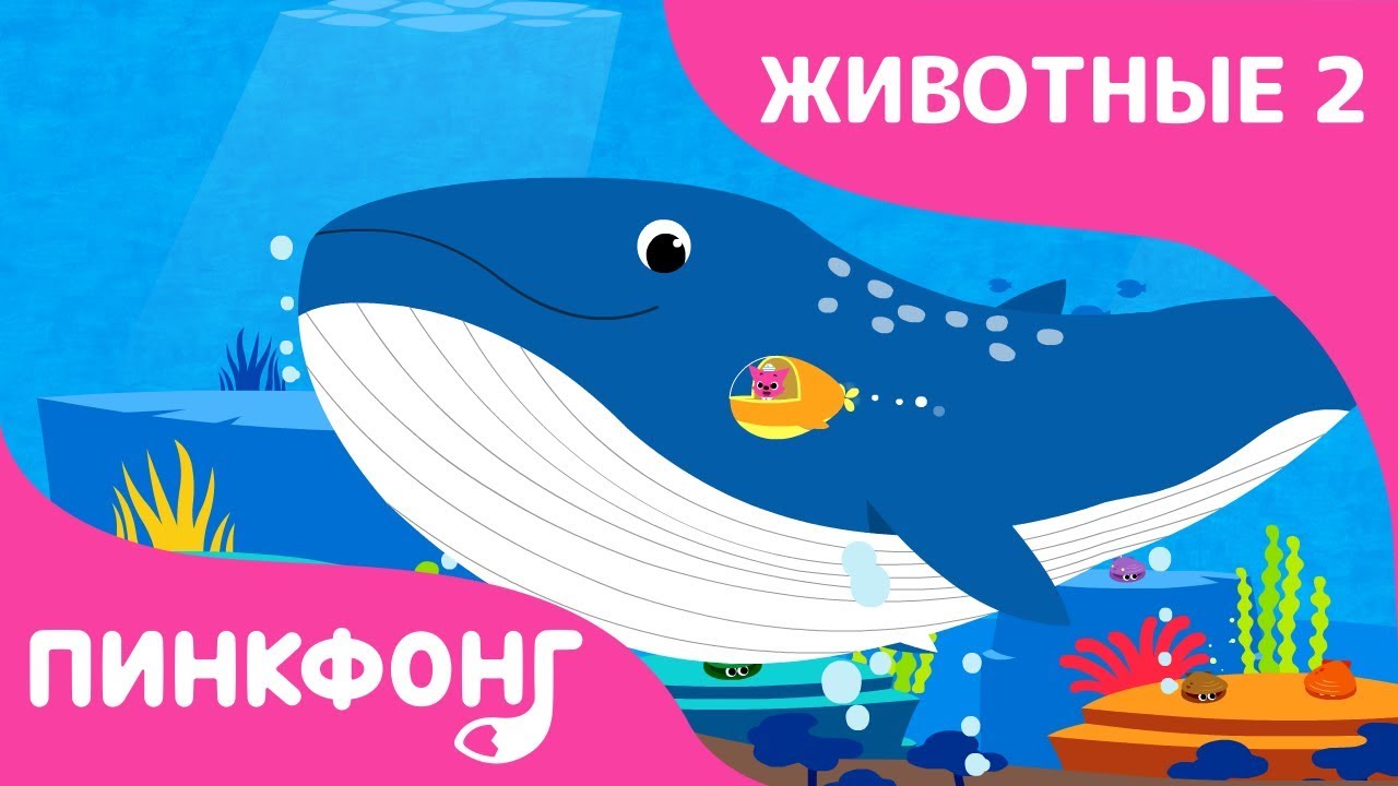 Синий Кит &mdash; Плывёт Синий Кит | Песни про Животных | Пинкфонг Песни для Детей
