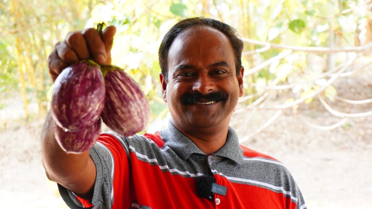 ചപ്പാത്തിക്കും ചോറിനും പറ്റിയ നല്ല കിടിലൻ കത്രിക്ക റോസ്റ്റ് 😋👌| Kathrikka roast | Keralastyle