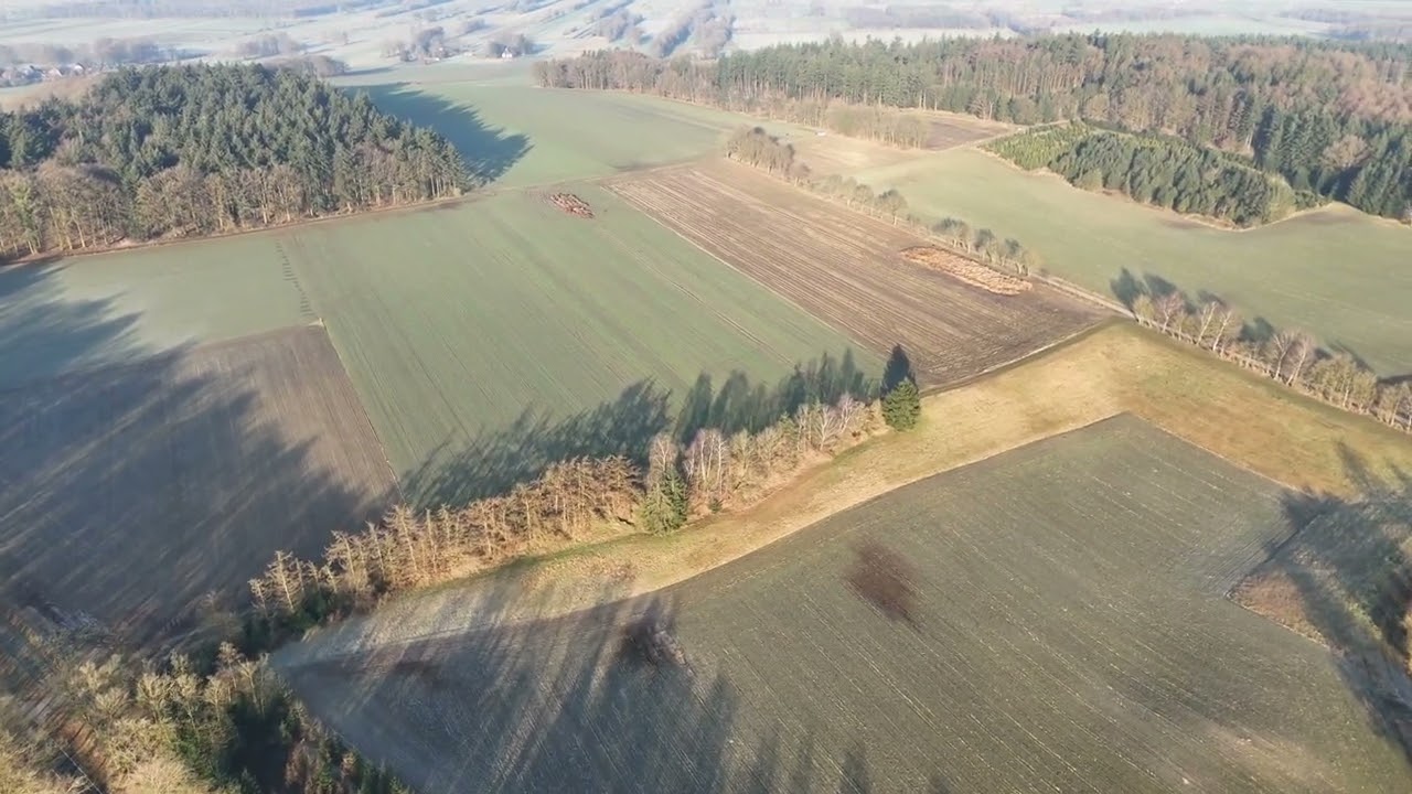 Laumühlen / Klint 4.März 2025