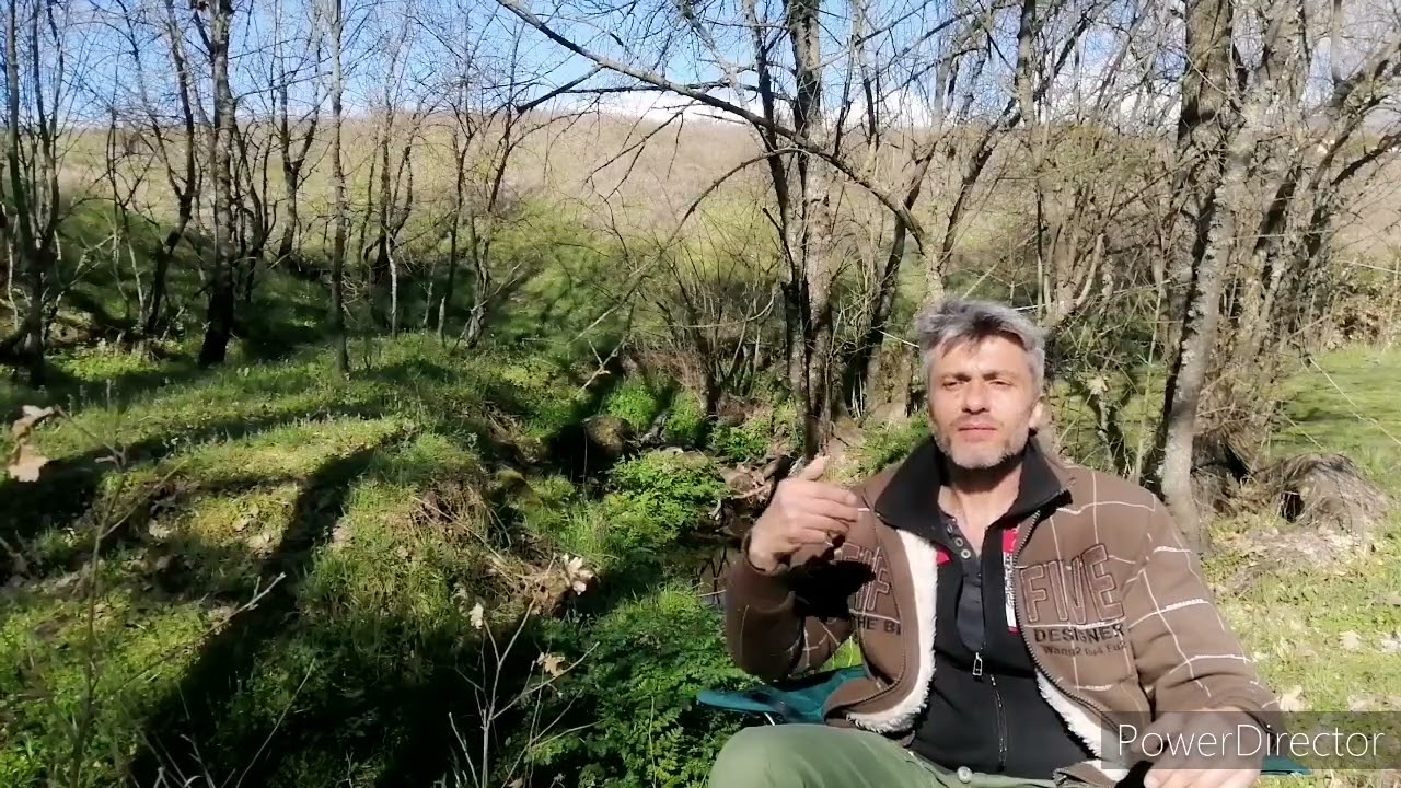 Segundo Curso de 10 días de Silencio y Meditación Vipassana // Estudiante antiguo // Dhamma Sacca