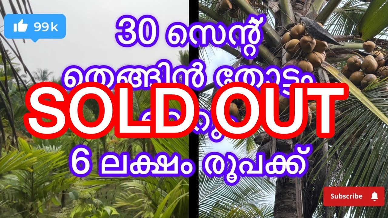 #പാലക്കാട് ജില്ലയിൽ ലക്കിടി പഞ്ചായത്തിൽ #lowbudjet #palakkadproperties #realestate 