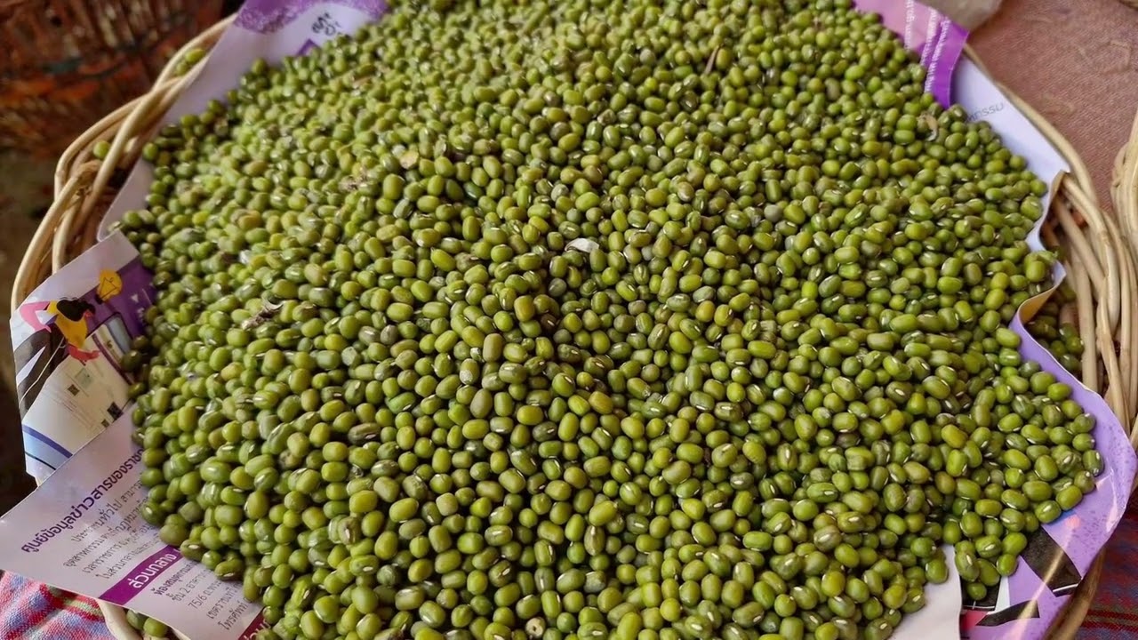 วิสาหกิจชุมชนแปรรูปผลิตภัณฑ์ทางการเกษตรจากถั่ว