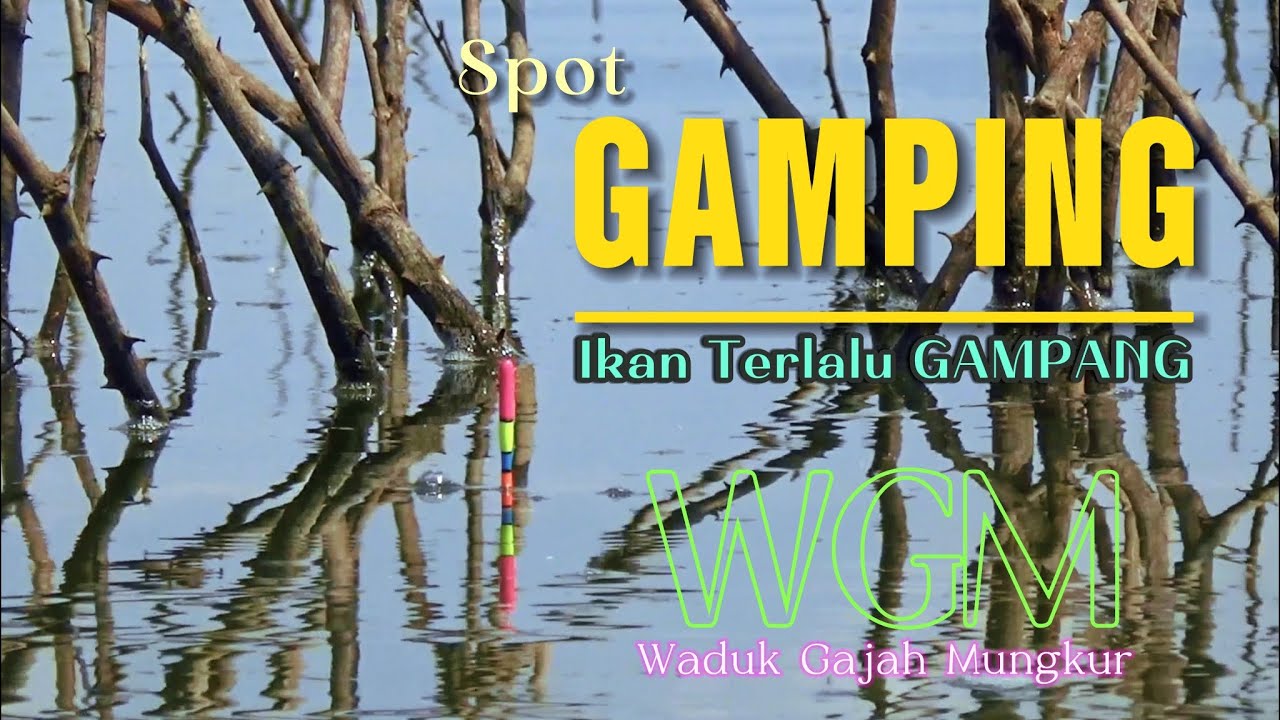 WGM Terbaru‼️ KITA COBA MANCING DI SPOT VIRAL INI #fishing #nila #mancing #mancingmania