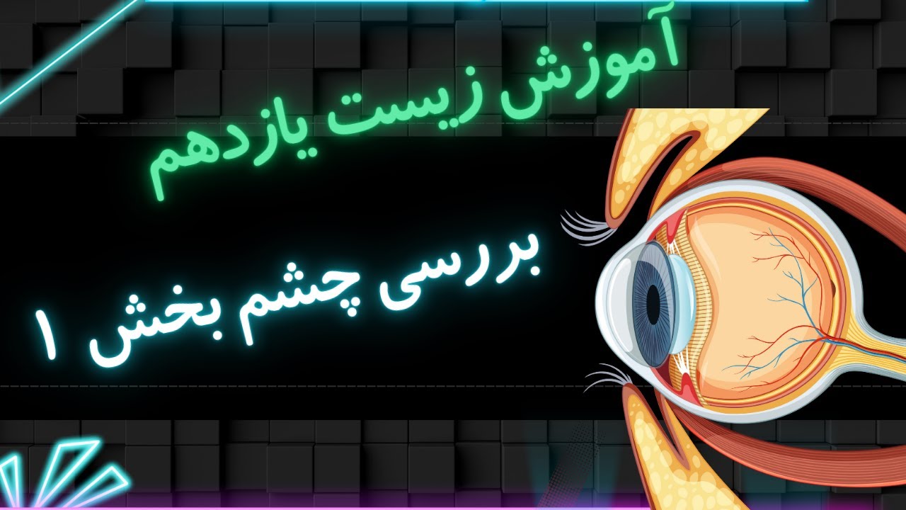 آموزش زیست شناسی سال یازدهم - بررسی چشم قسمت اول