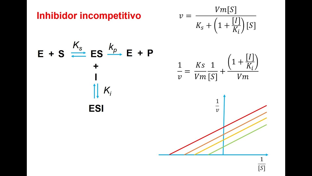 Deducción de la ecuación de velocidad para inhibidores incompetitivos