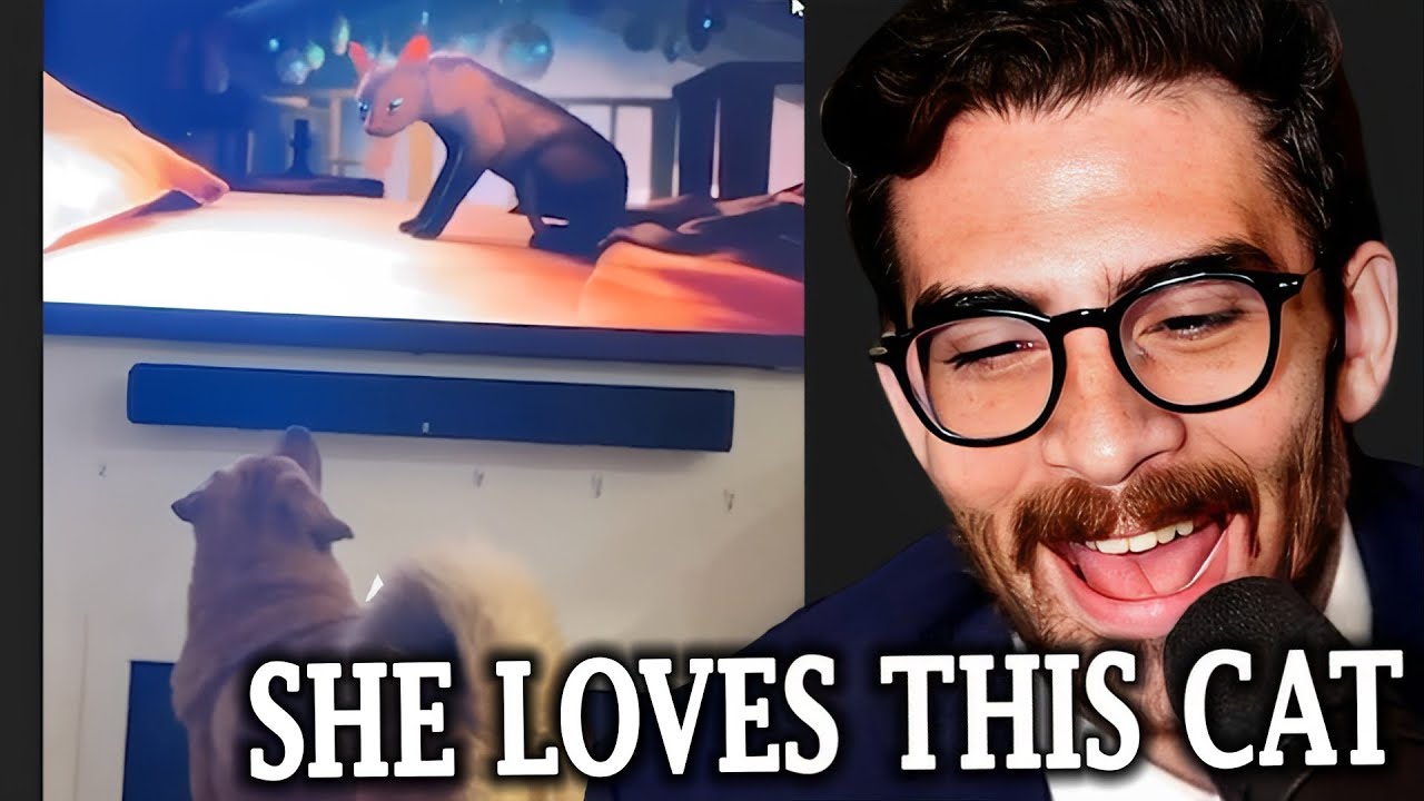 Кая влюбилась в анимированного кота | Реакция Хасанаби