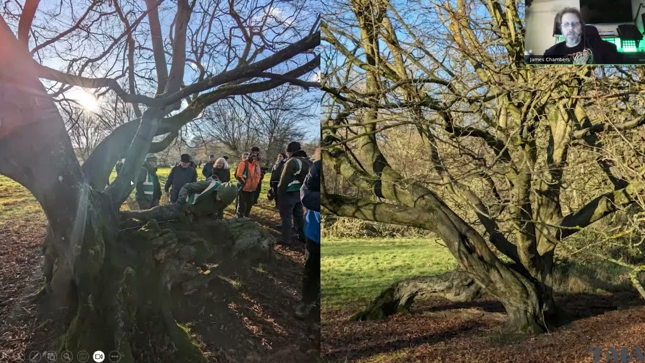 Veteran trees - navigating too many definitions with James Chambers