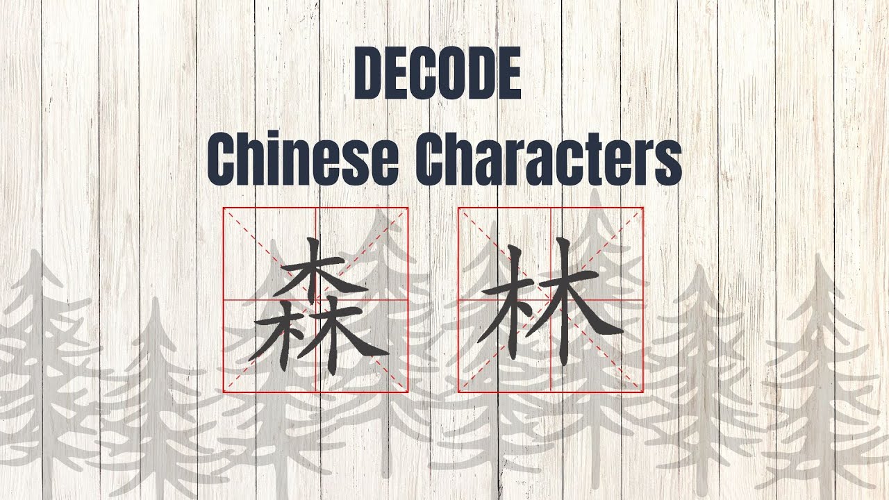 Learn the Chinese Character 森 林 | Stroke Order, Meaning & Origin Explained