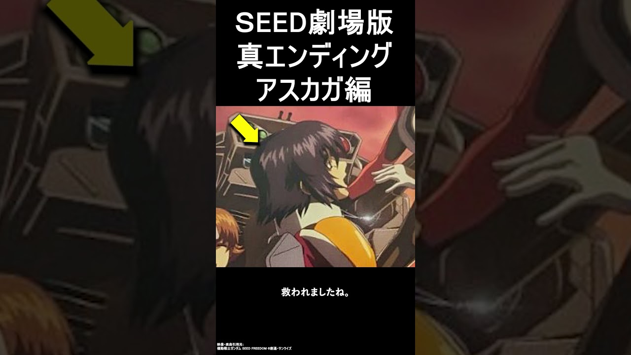 SEED FREEDOM特典小説で明かされたアスラン＆カガリのその後 #seedfreedom