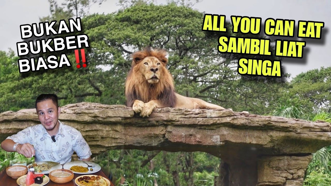 ALL YOU CAN EAT SAMBIL LIAT SINGA !! SAFARI RAMADHAN SOLO SAFARI !!