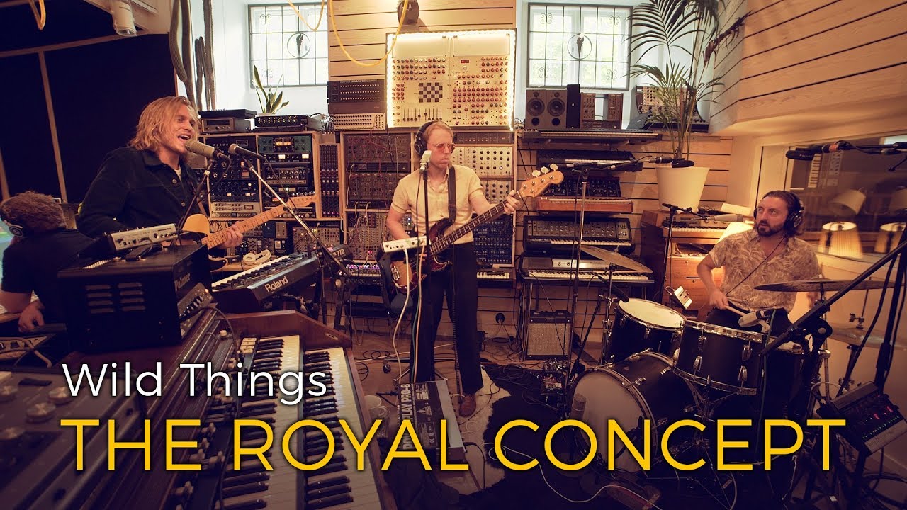 The Royal Concept - Wild Things (Acoustic session by ILOVESWEDEN.NET)
