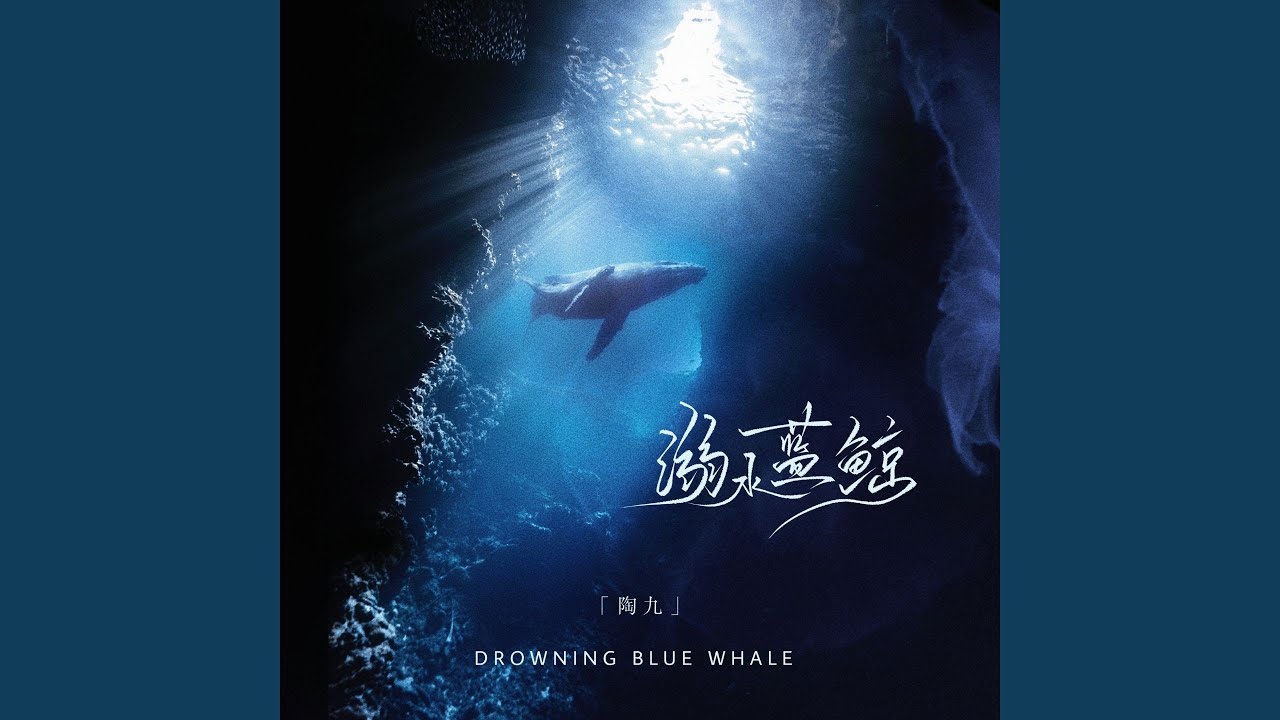 溺水蓝鲸