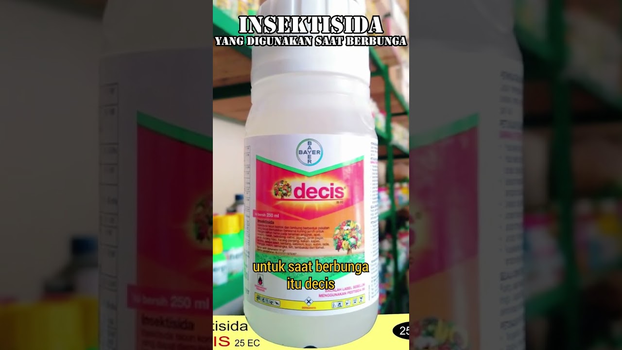 Gunakan insektisida berbahan aktif seperti decis saat menyemprot bunga alpukat 