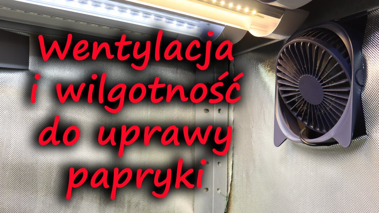Jaka wentylacja i wilgotność dla uprawy papryki chili?