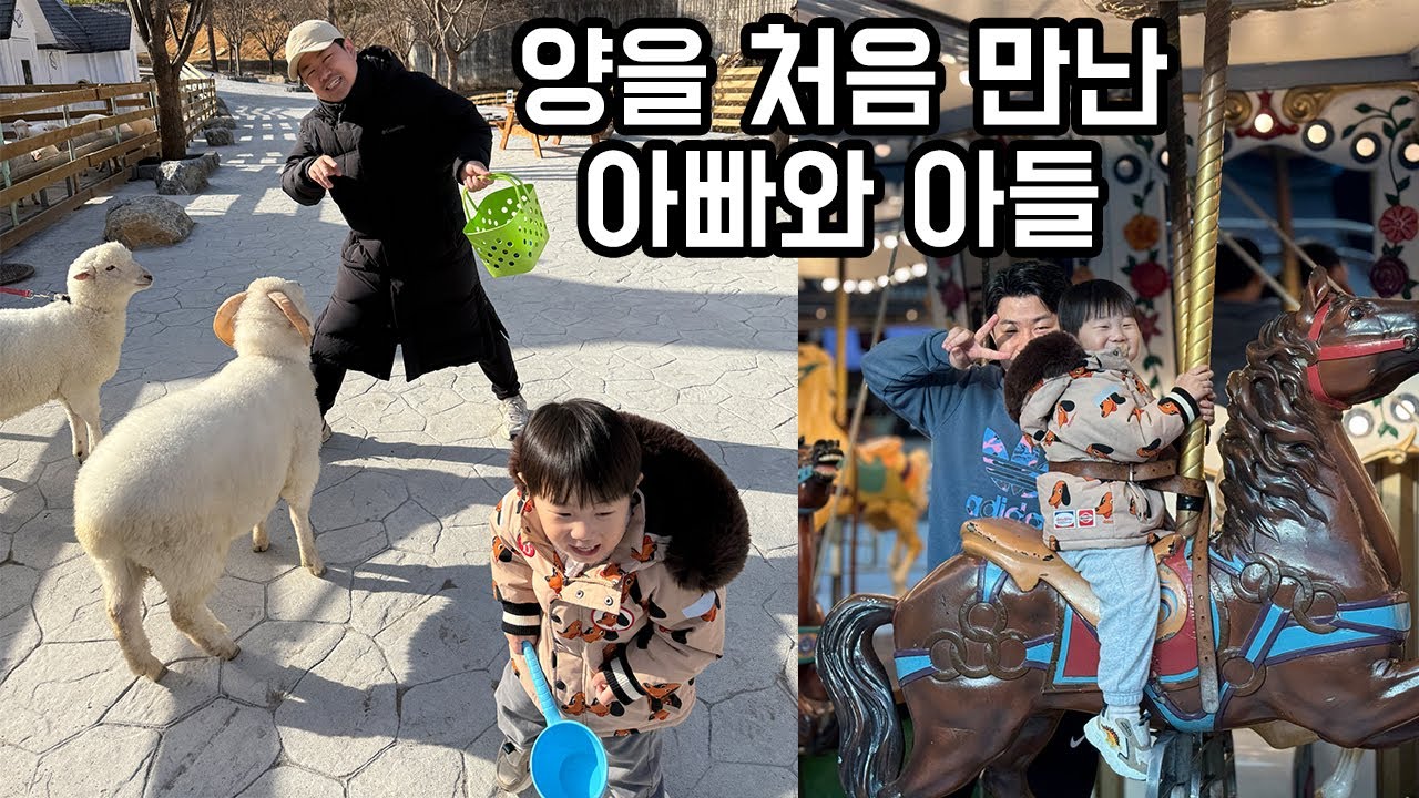 힘 센 양에 끌려가는 아빠… 도하의 첫 양 먹이주기