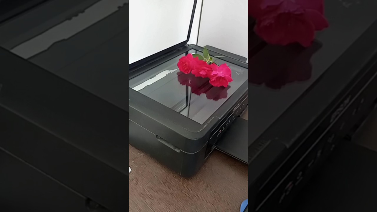 Epson printer 🌹 rose print #subscribe #viral #trending #viralvideo #shorts #short #shortsfeed