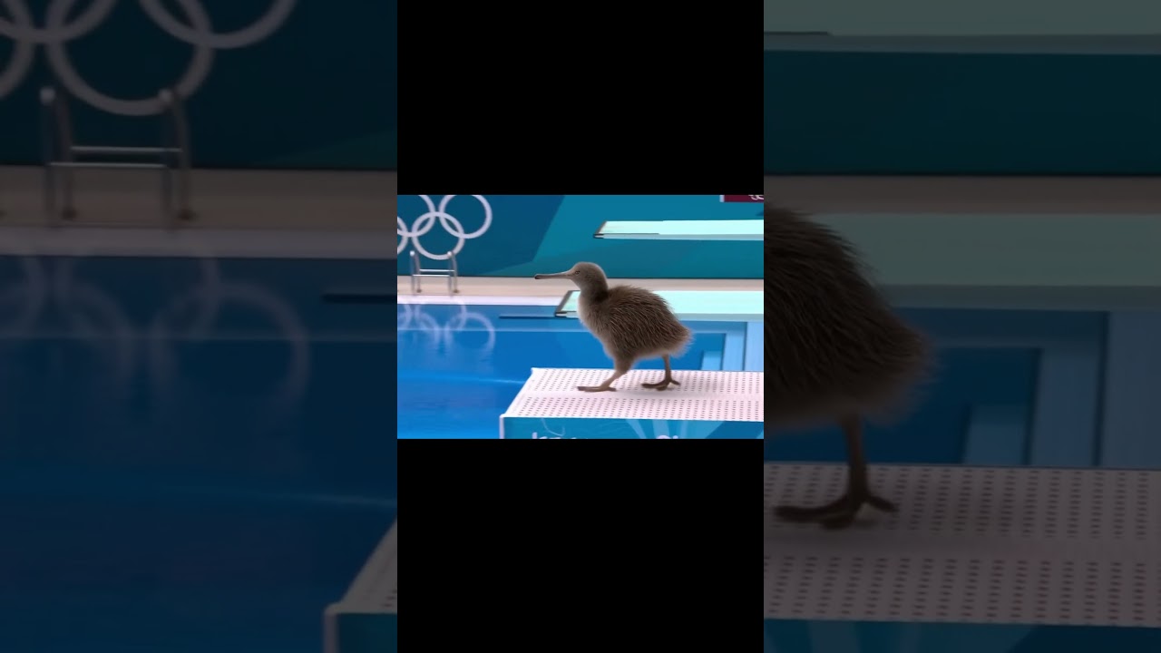 Kiwi Bird Dives into a pool  