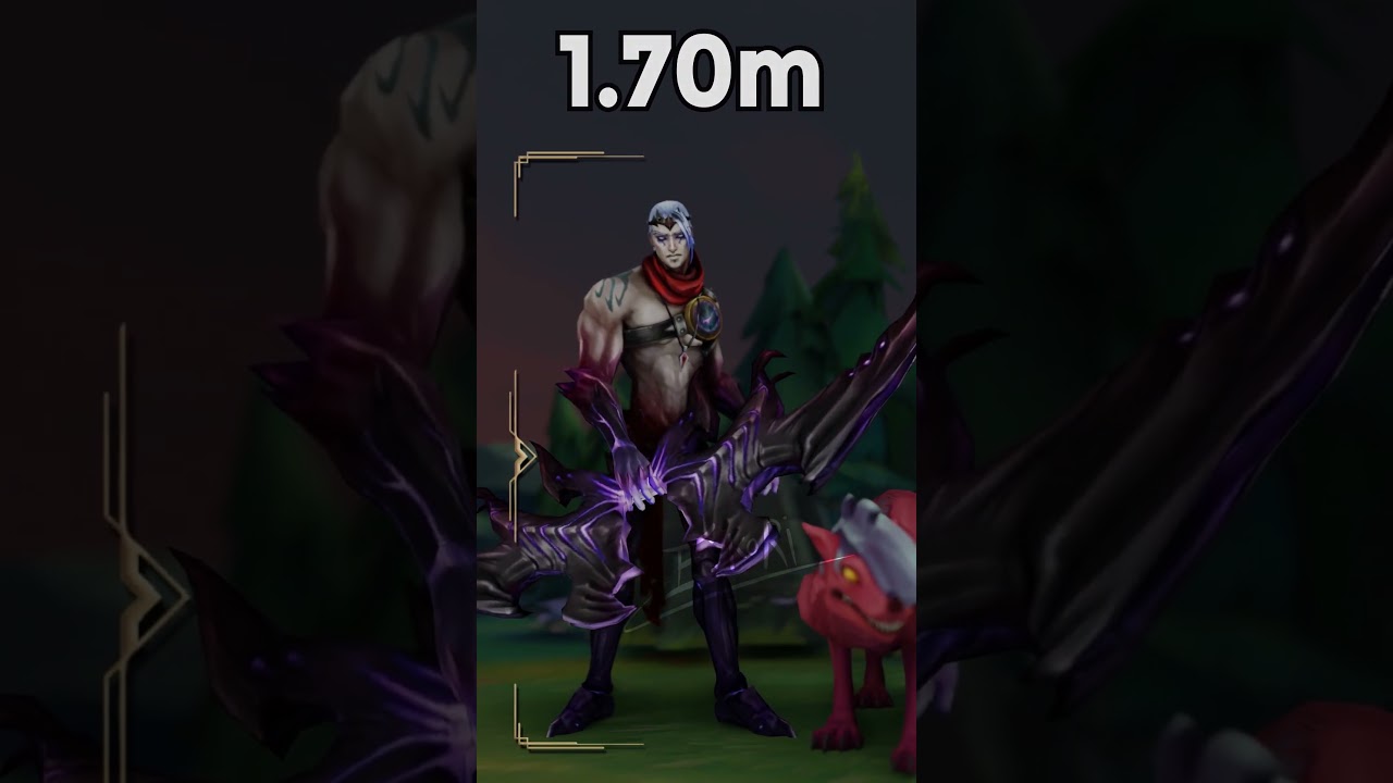 Darkins Champions ACTUAL SIZES