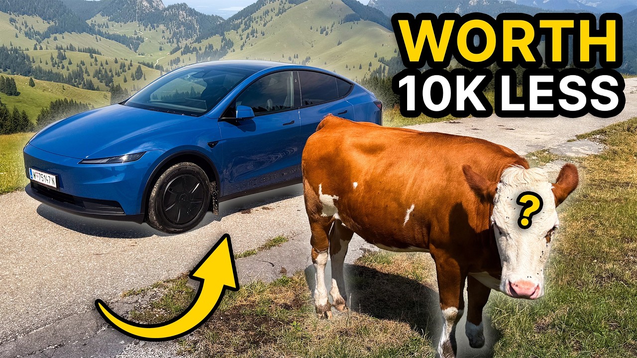 New Coastal Blue Model Y Standard: First Look
