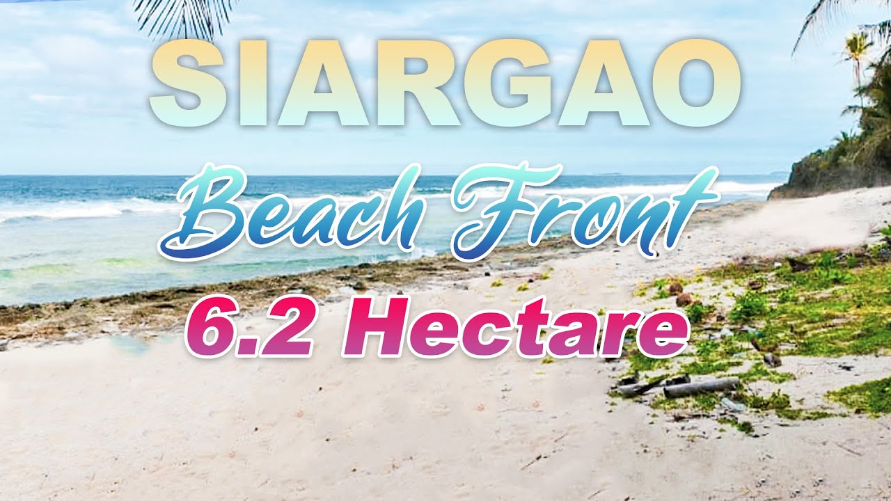 6.2 Hectare or 62,000 sqm Beach Front For Sale near Magpupungko #siargaoproperties