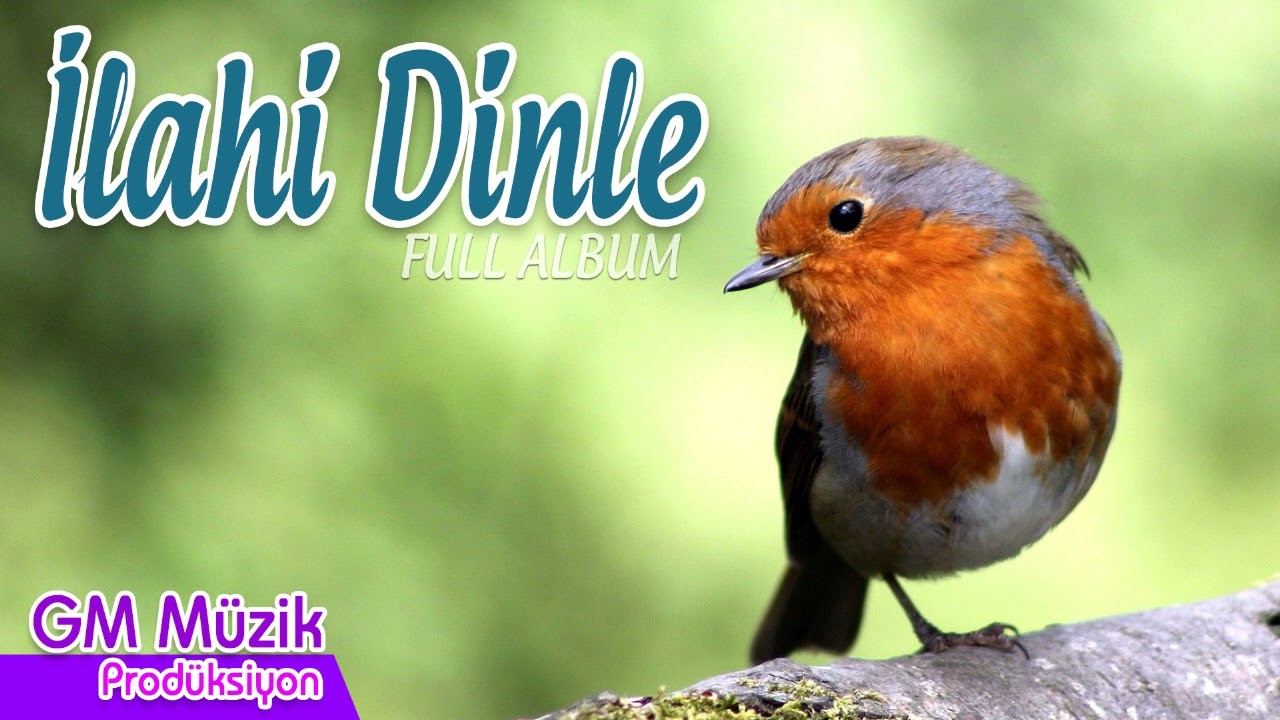 İlahi Dinle - En Güzel Seçme İlahiler - Karışık Harika İlahiler   | GM Müzik Prodüksiyon
